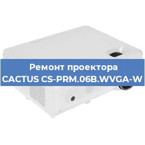 Замена лампы на проекторе CACTUS CS-PRM.06B.WVGA-W в Воронеже